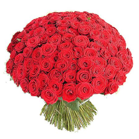 Букет 101 красная роза по акции 40 см