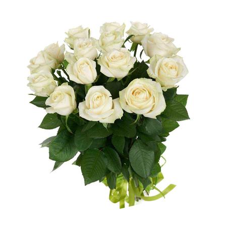 15 белых роз (60 см)