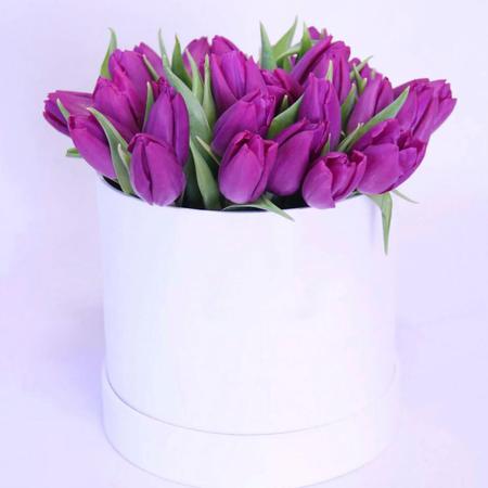 29 фиолетовых тюльпанов в белой коробке